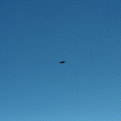 気持ち悪い趣味