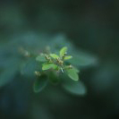 おーなかへったなー