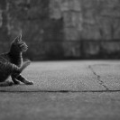 写真にまつわるエピソード